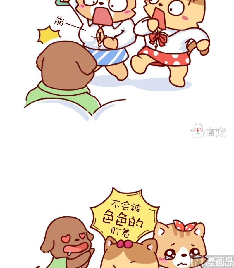 第35话-第35话