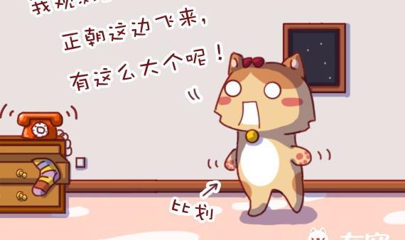 第5话-第5话