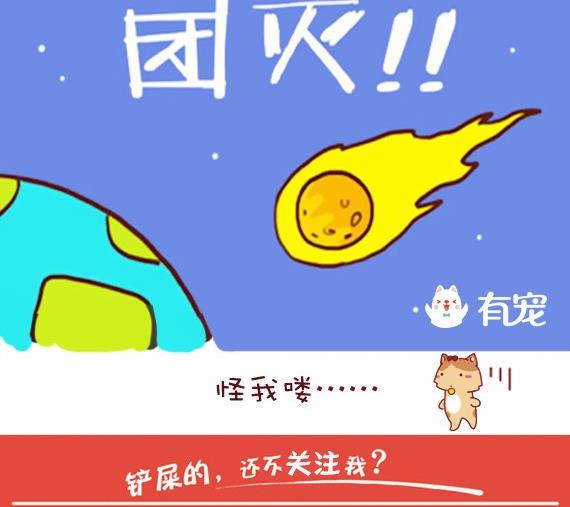 第5话-第5话