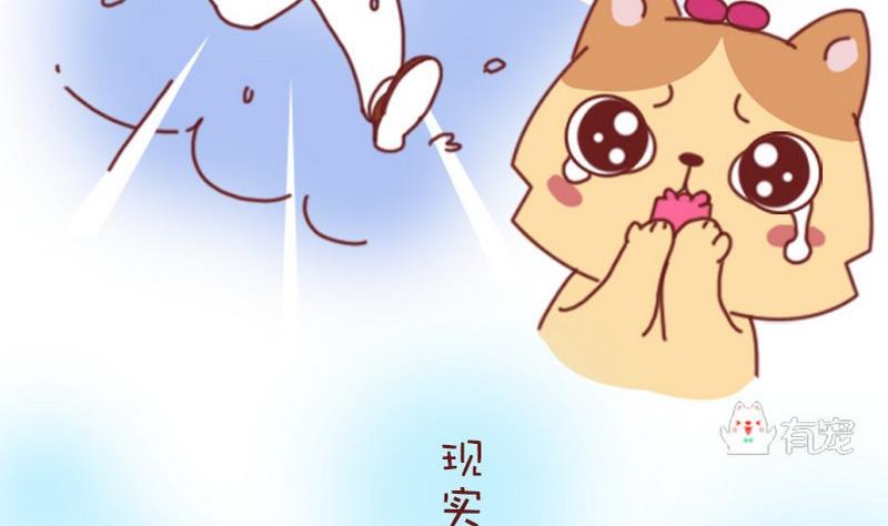 第7话-第7话
