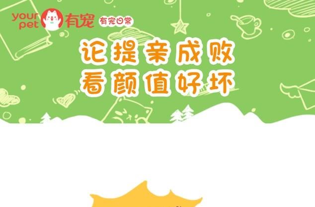 第78话-第67话
