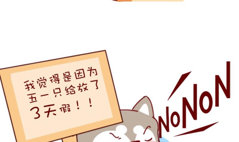 第9话-第9话