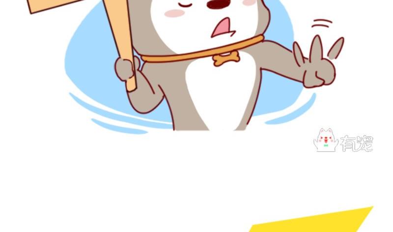 第9话-第9话
