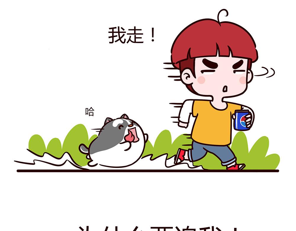 美丽的邂逅？-第1话