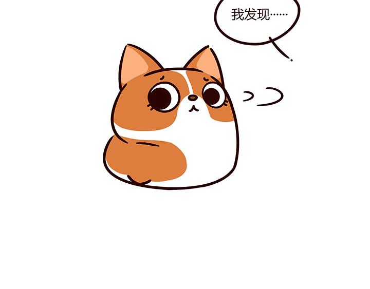我是拒绝的-第11话