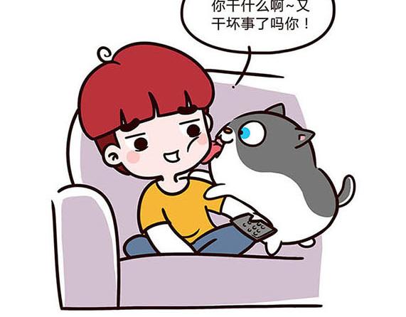 陪伴-第13话