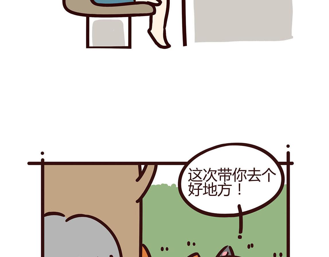 陪伴-第13话
