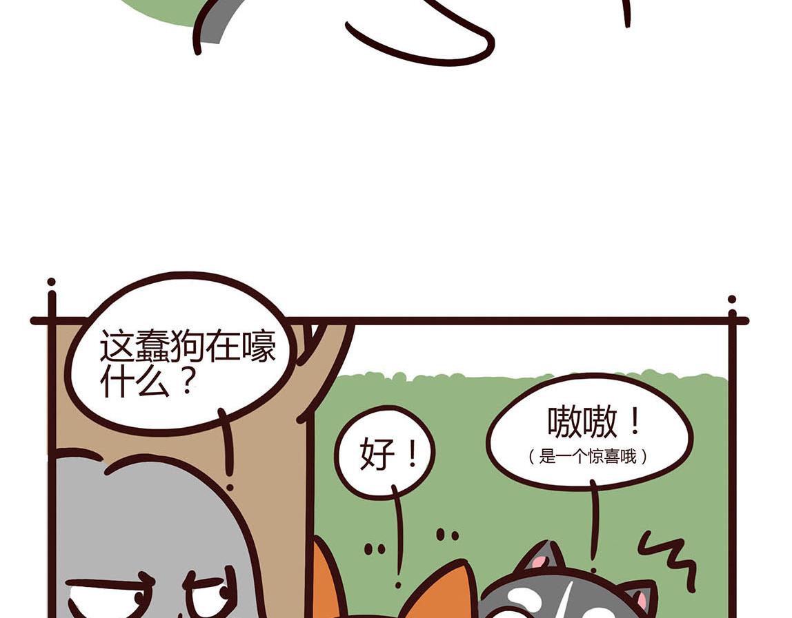 陪伴-第13话