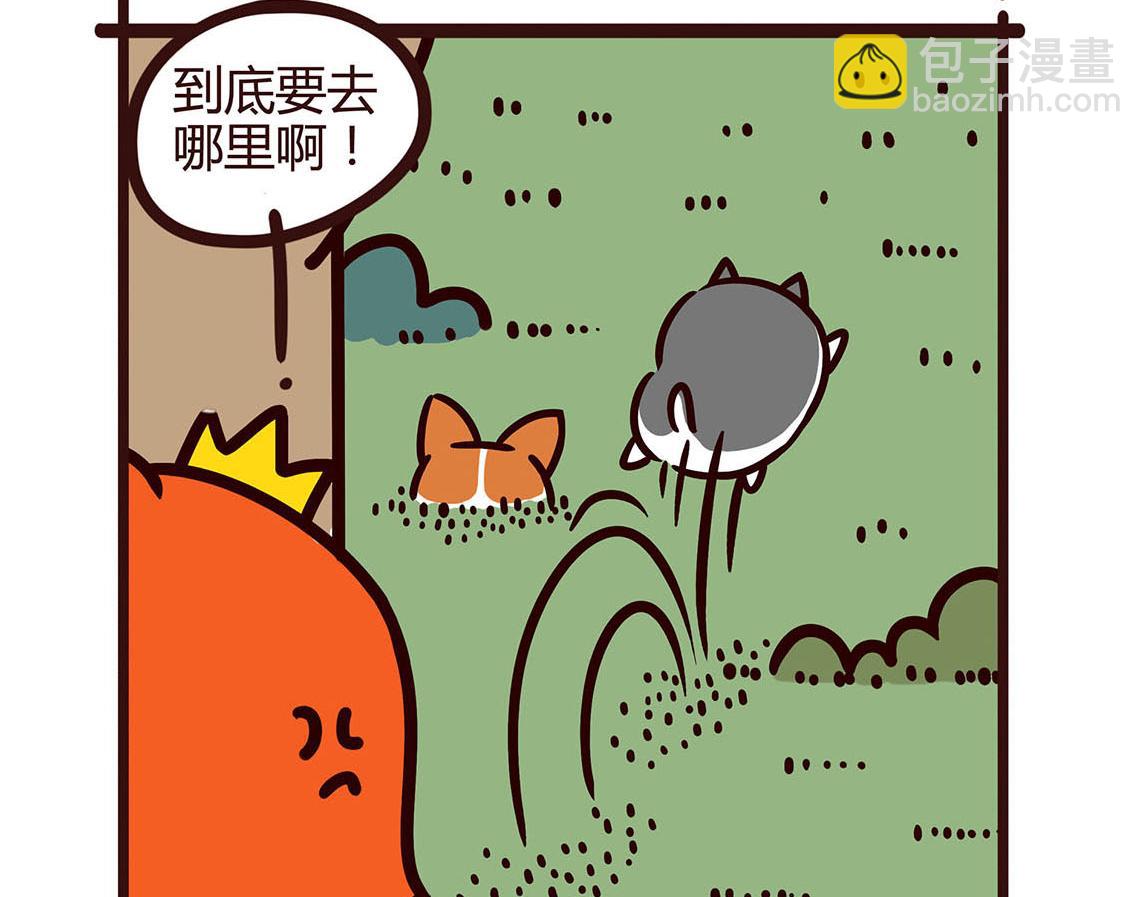 陪伴-第13话