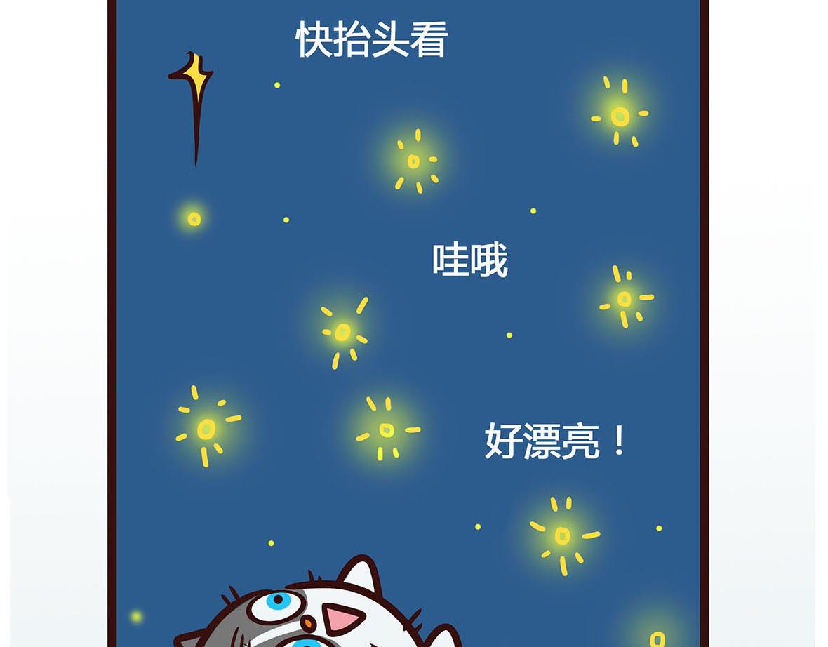 陪伴-第13话