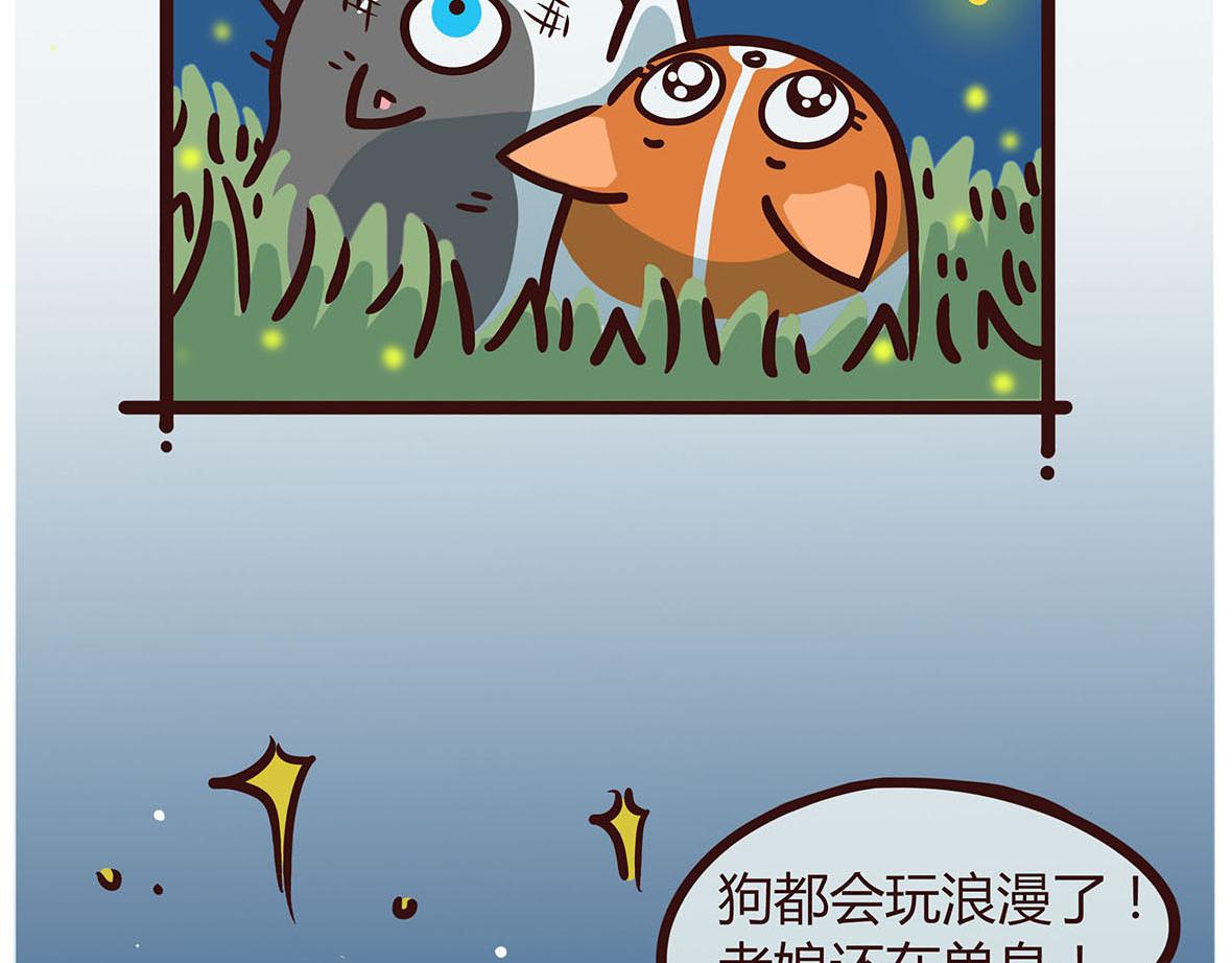 陪伴-第13话