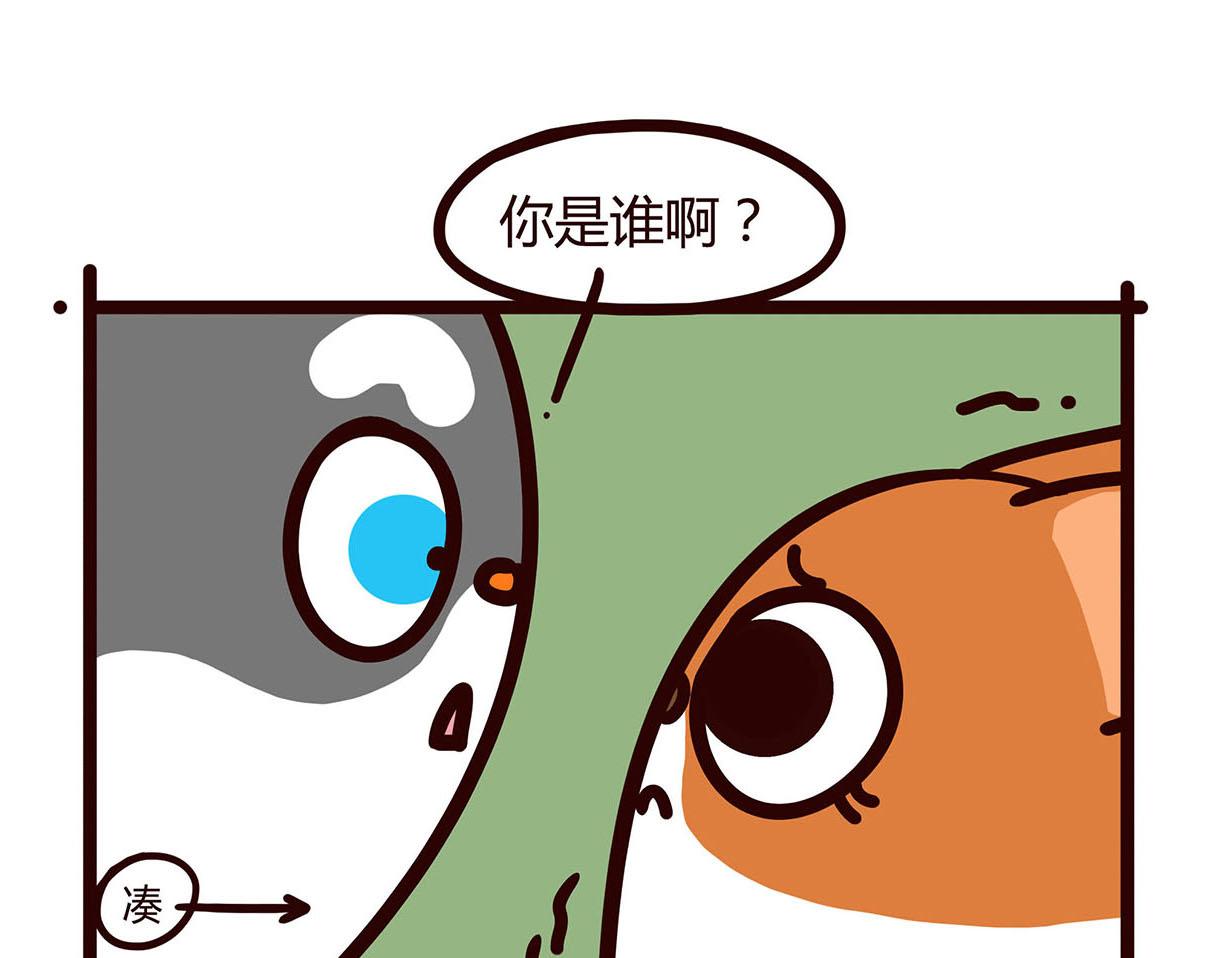 告白-第21话