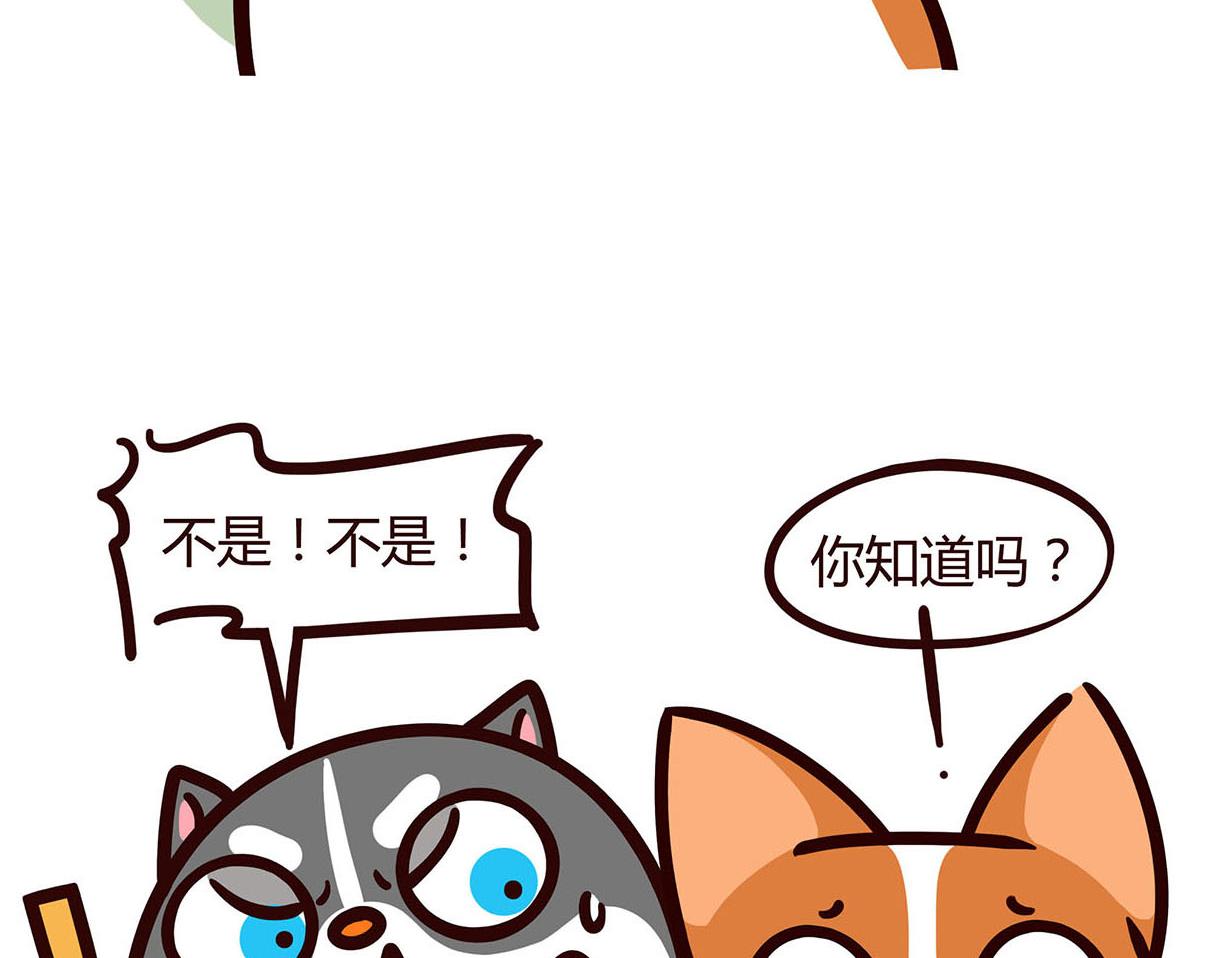 告白-第21话