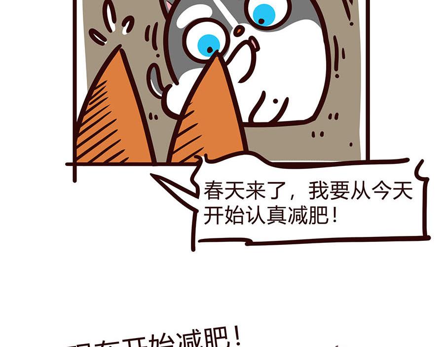 春天了~-第37话