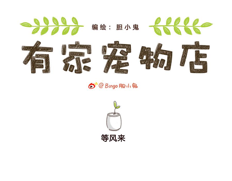 等风来-第39话