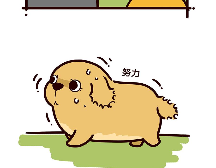 等风来-第39话