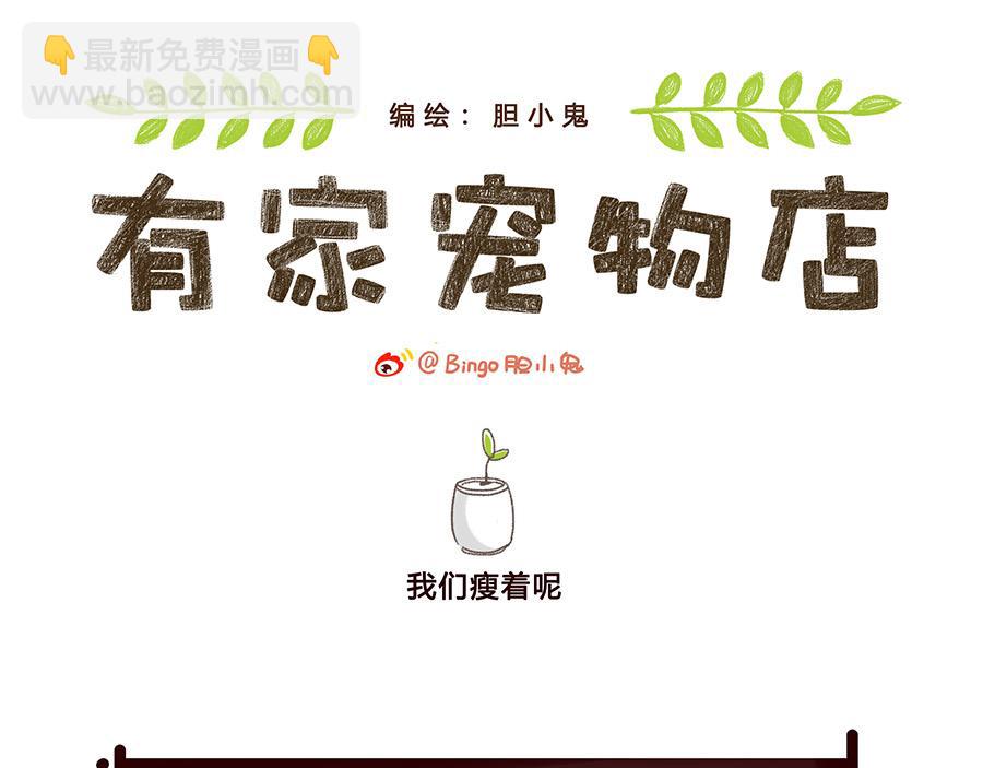 等风来-第39话