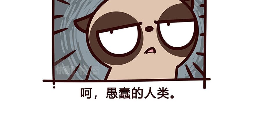 特立独行-第41话