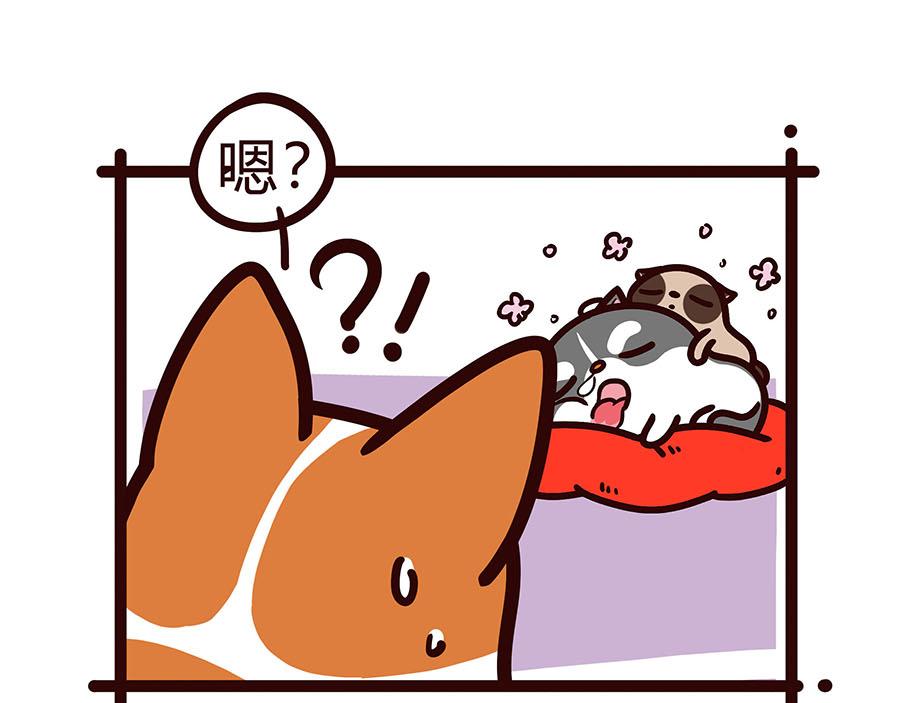 宠爱-第47话
