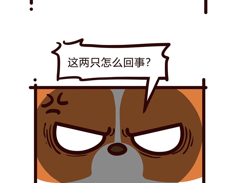 宠爱-第47话