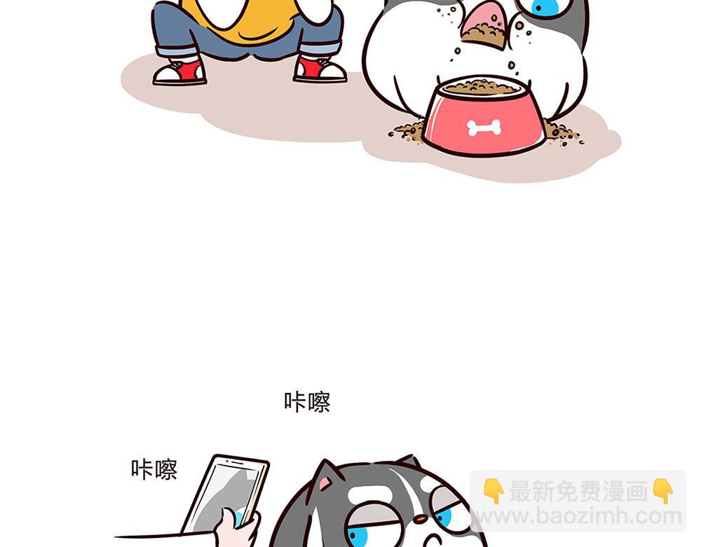 一只狗的快乐生活-第7话