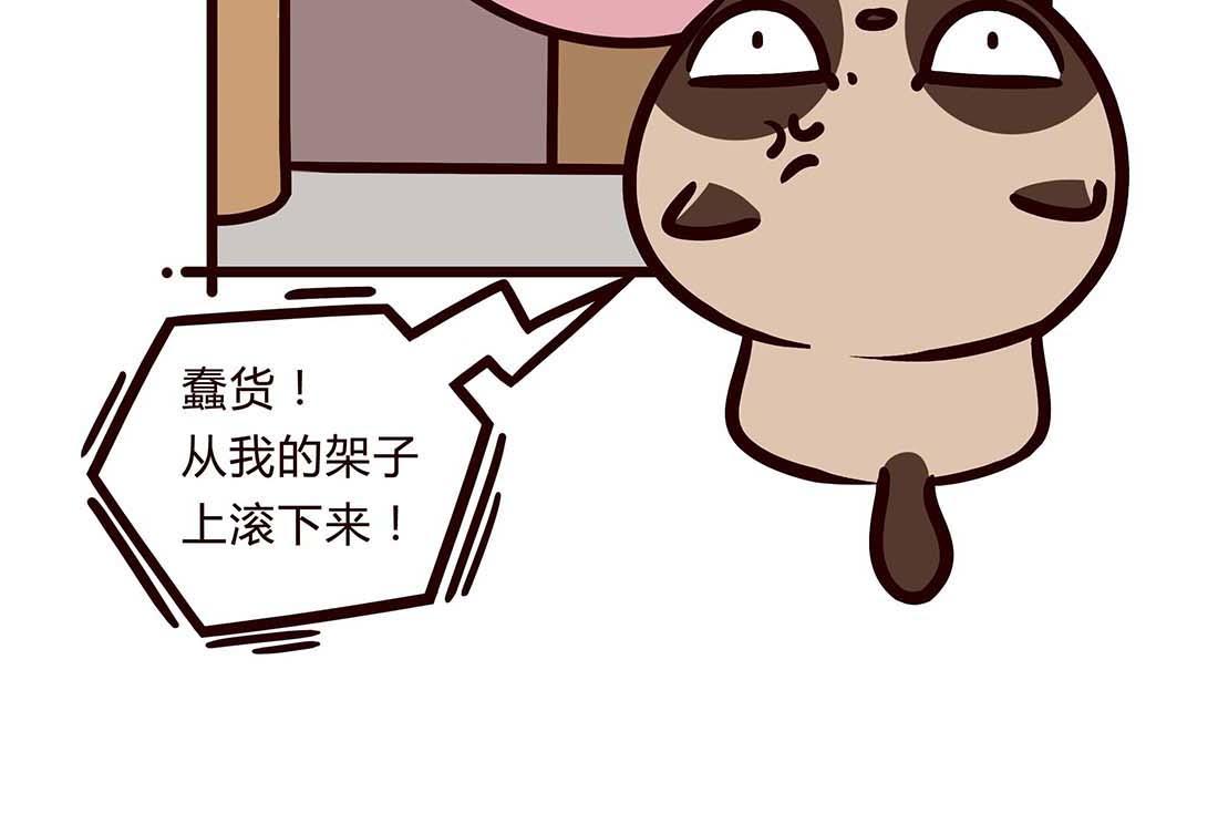 一只狗的快乐生活-第7话