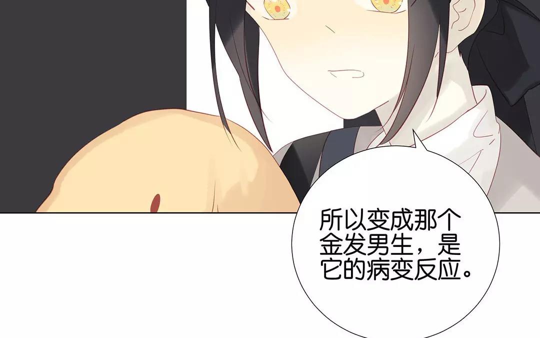 第57话 相见(1/2)-第57话