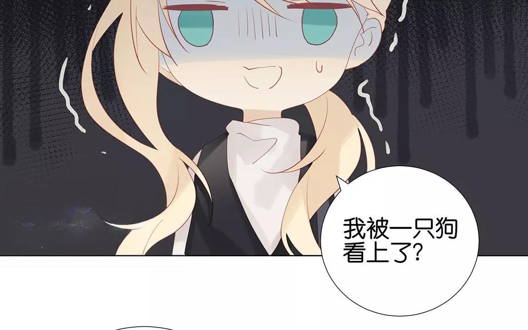 第57话 相见(1/2)-第57话