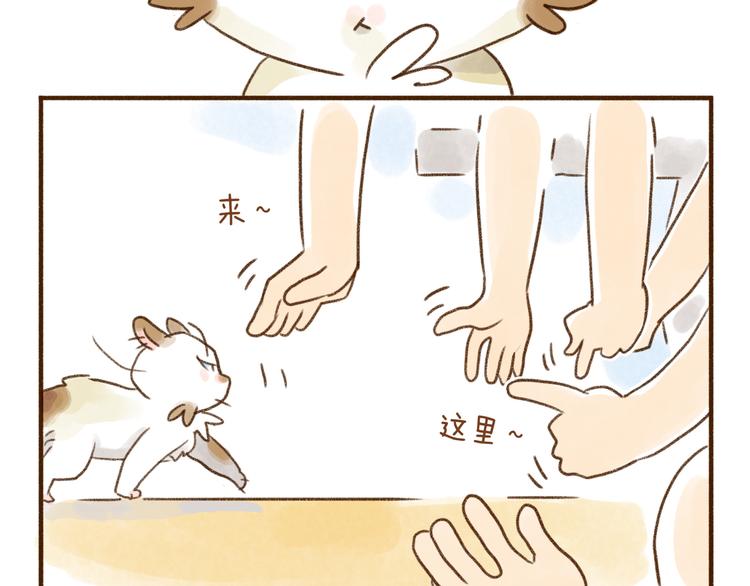 第114话-第105话