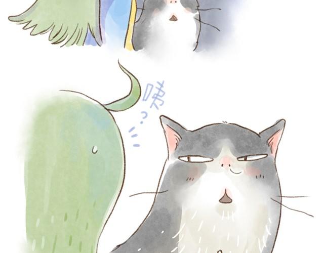 夏天的猫，脾气似乎也和温度一样-第13话