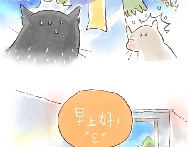 夏天的猫，脾气似乎也和温度一样-第13话