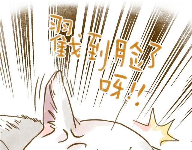 对猫来说，手机不是友好的东西-第15话