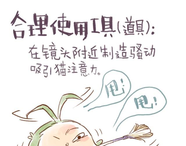 对猫来说，手机不是友好的东西-第15话