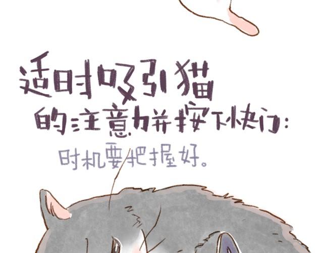 对猫来说，手机不是友好的东西-第15话