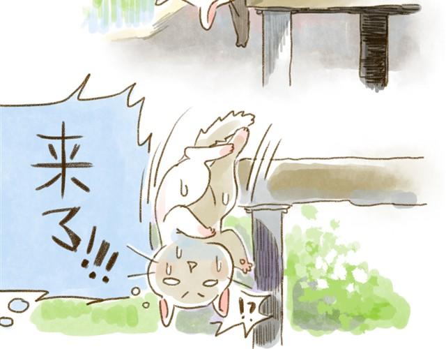 对猫来说，手机不是友好的东西-第15话