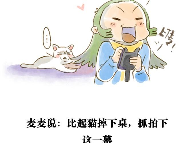 对猫来说，手机不是友好的东西-第15话