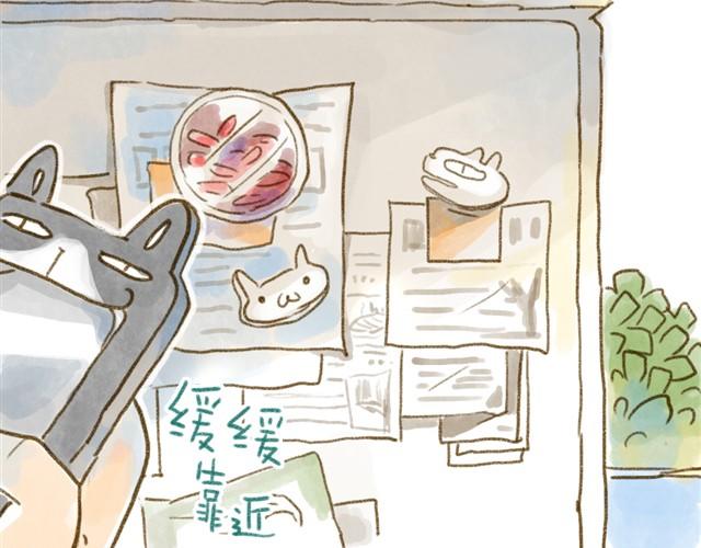 对猫来说，手机不是友好的东西-第15话