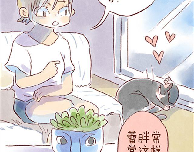 猫咪的好多行为你懂吗？-第21话
