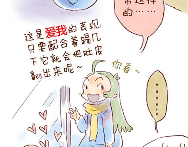 猫咪的好多行为你懂吗？-第21话