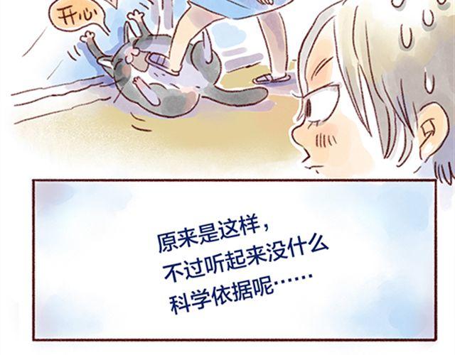 猫咪的好多行为你懂吗？-第21话