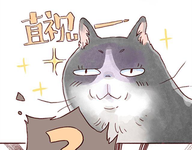 猫咪的好多行为你懂吗？-第21话