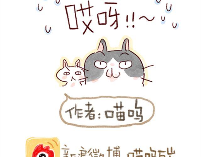 猫咪的好多行为你懂吗？-第21话