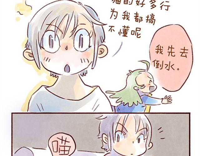 猫咪的好多行为你懂吗？-第21话