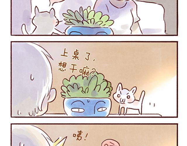 猫咪的好多行为你懂吗？-第21话