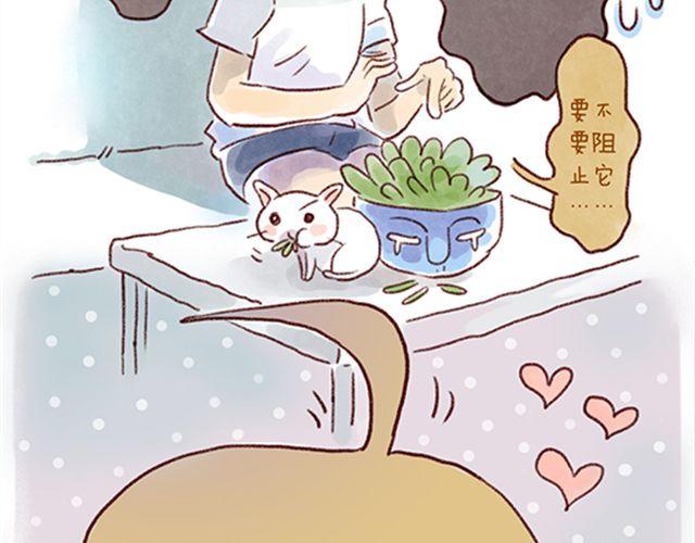 猫咪的好多行为你懂吗？-第21话
