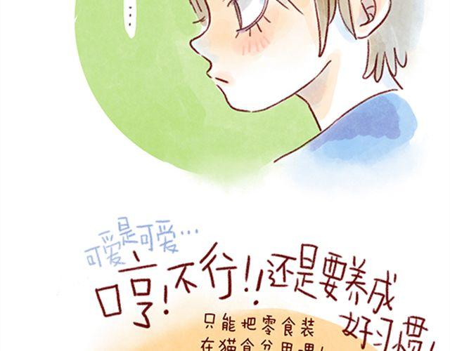 不能让猫养成坏习惯-第23话