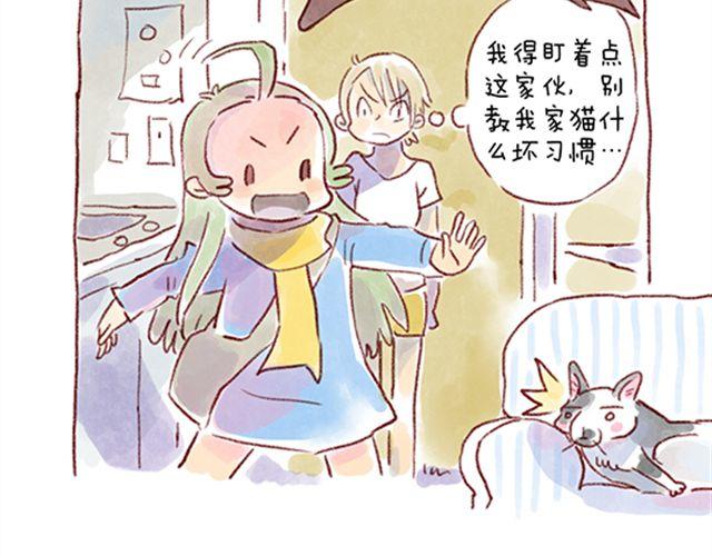 不能让猫养成坏习惯-第23话