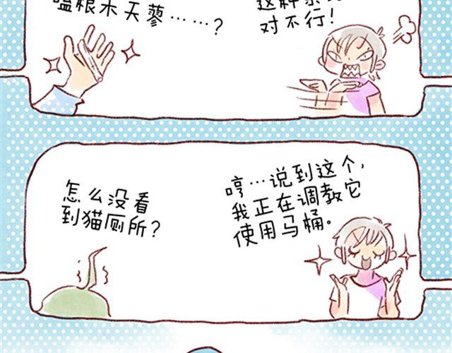 不能让猫养成坏习惯-第23话