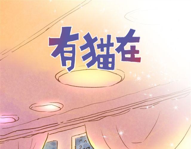 养猫或许能让你成为社交达人-第27话