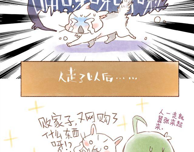 怂猫超有用！-第31话
